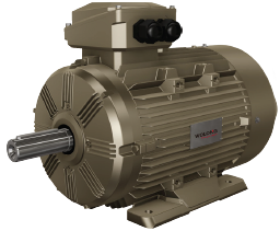 1650352258640134pA11.png WE系列三相異步電機(jī).png