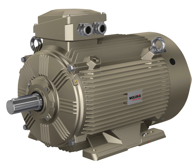 1650352453294060p5A0.png WEPM 變頻調(diào)速永磁電機(jī).png